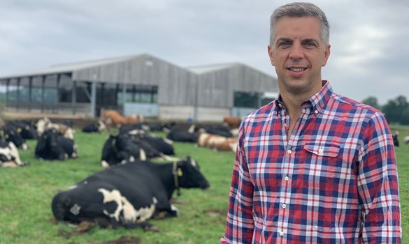 a man standing in front of a herd of cows